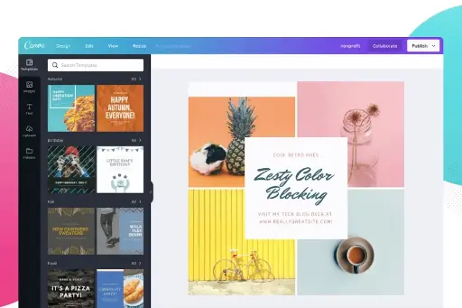 Canva pro