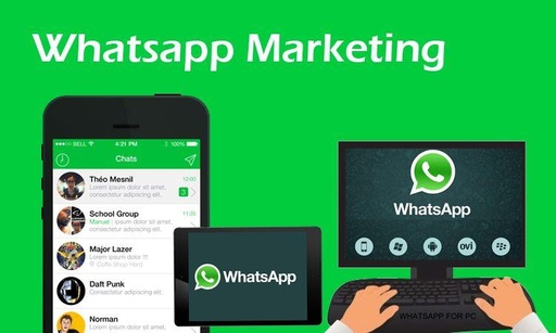 Whatsapp marketing software